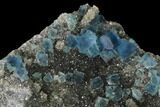 Blue Cubic Fluorite on Smoky Quartz - China #142377-2